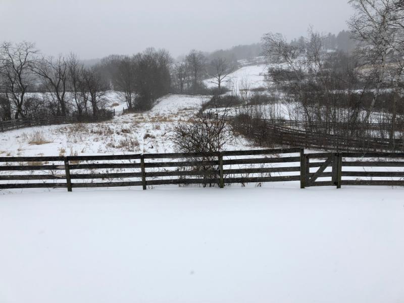 The Lily Pond Animal Sanctuary rolling hills and fence in winter in Ghent NY