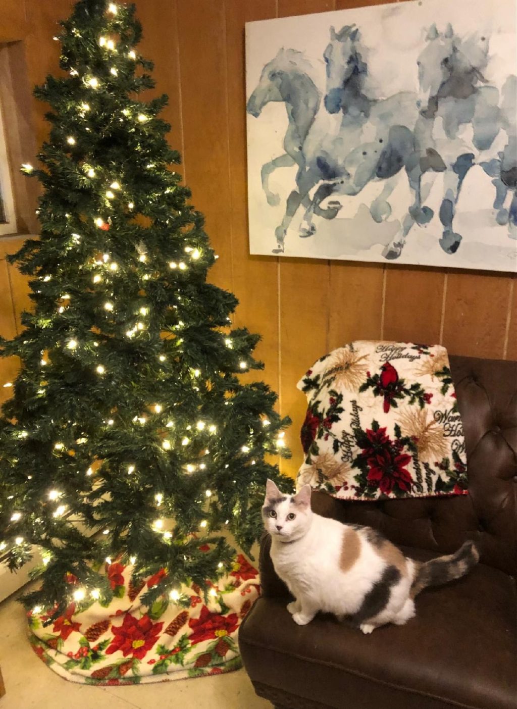 A Christmas tree in the tack room of our horse barn of the Lily Pond Sanctuary