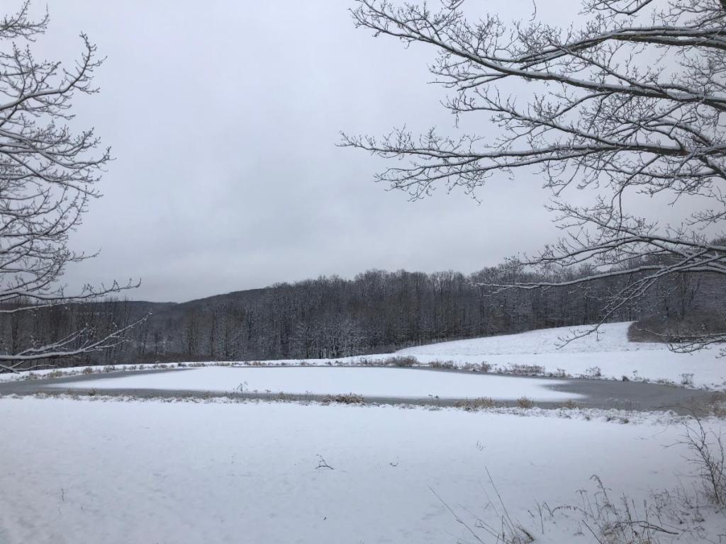 frozen water and snow around sanctuary