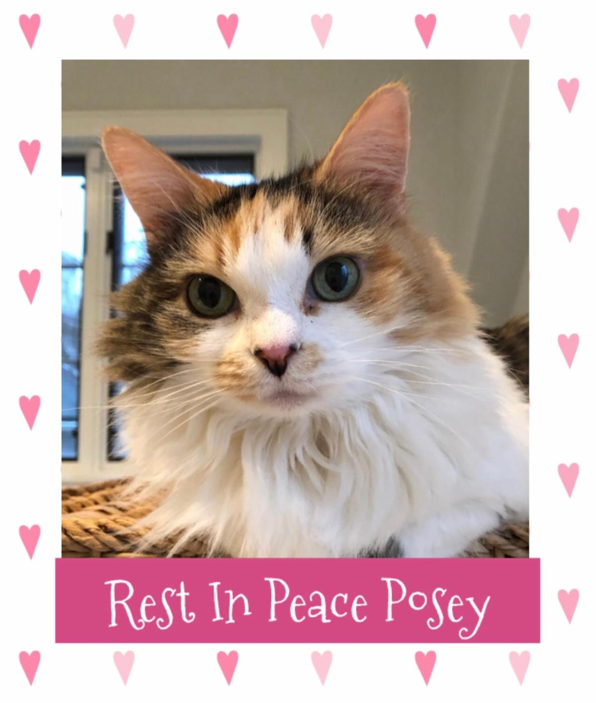 Rest in Peace Posey