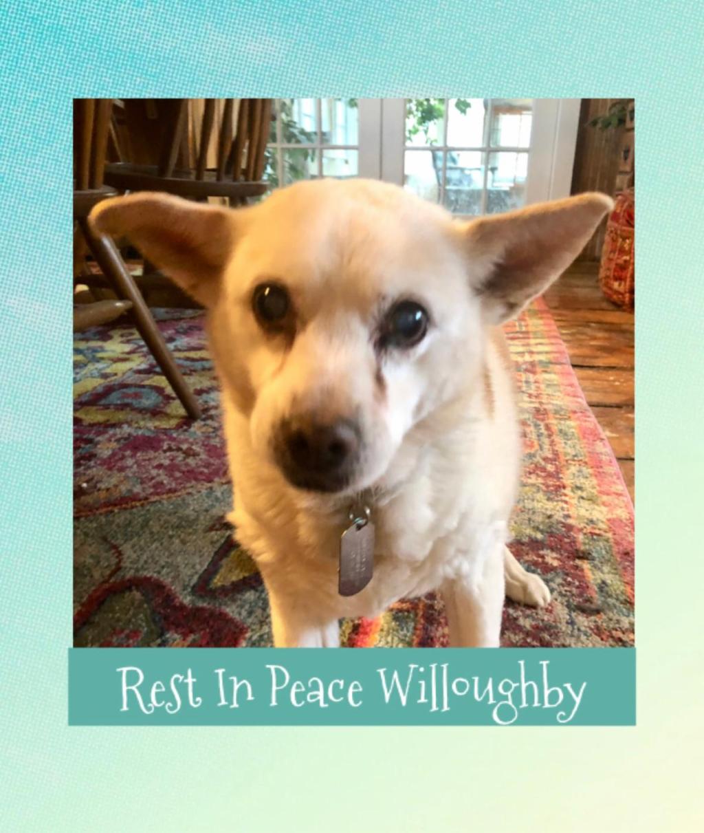 Rest in Peace Willoughby